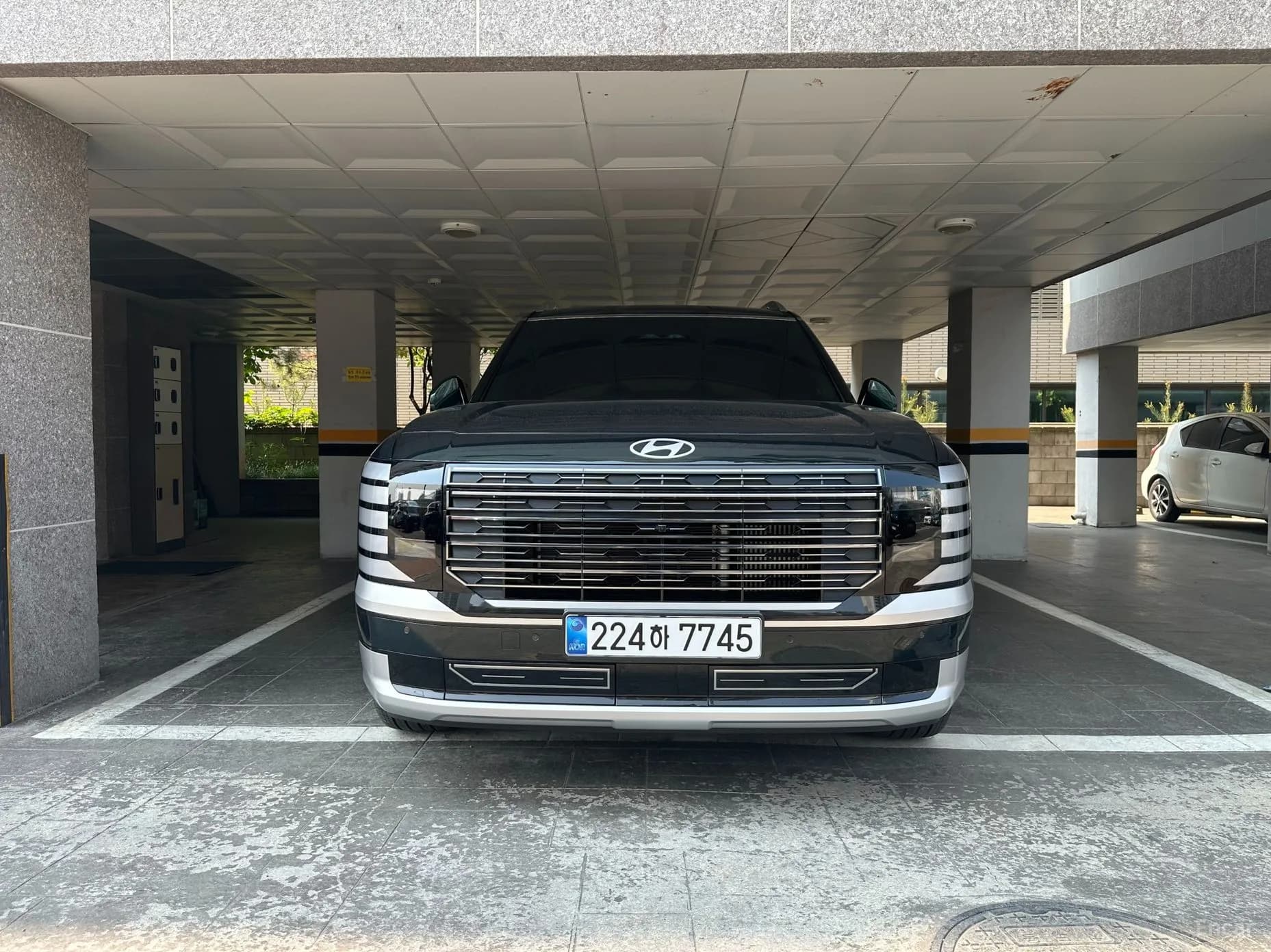 Palisade (LX3)