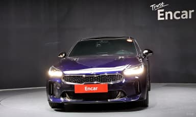 Stinger