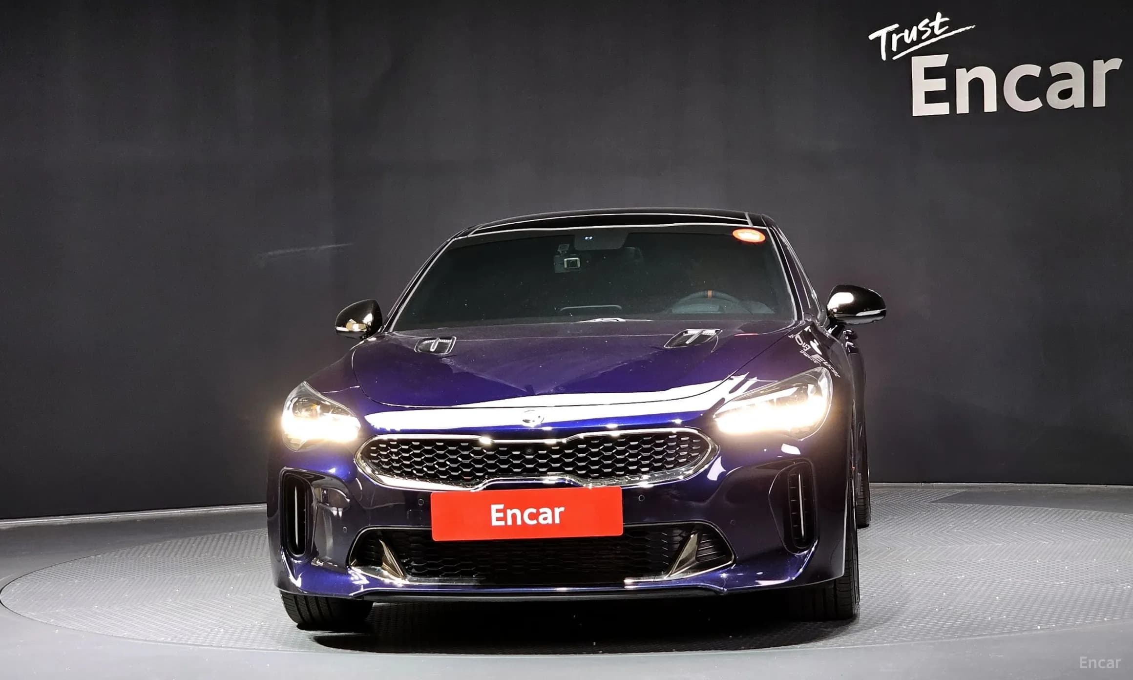 Stinger