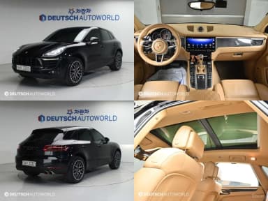 Macan