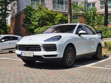 Cayenne (PO536)
