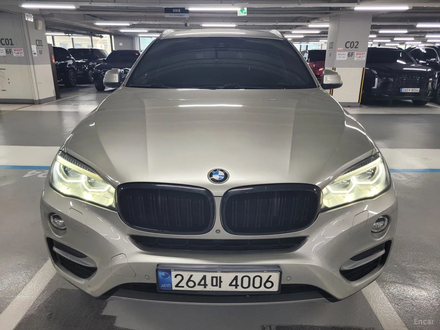 X6 (F16)