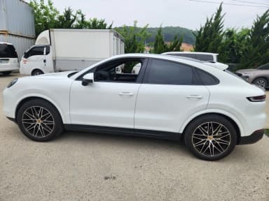 Cayenne (PO536)