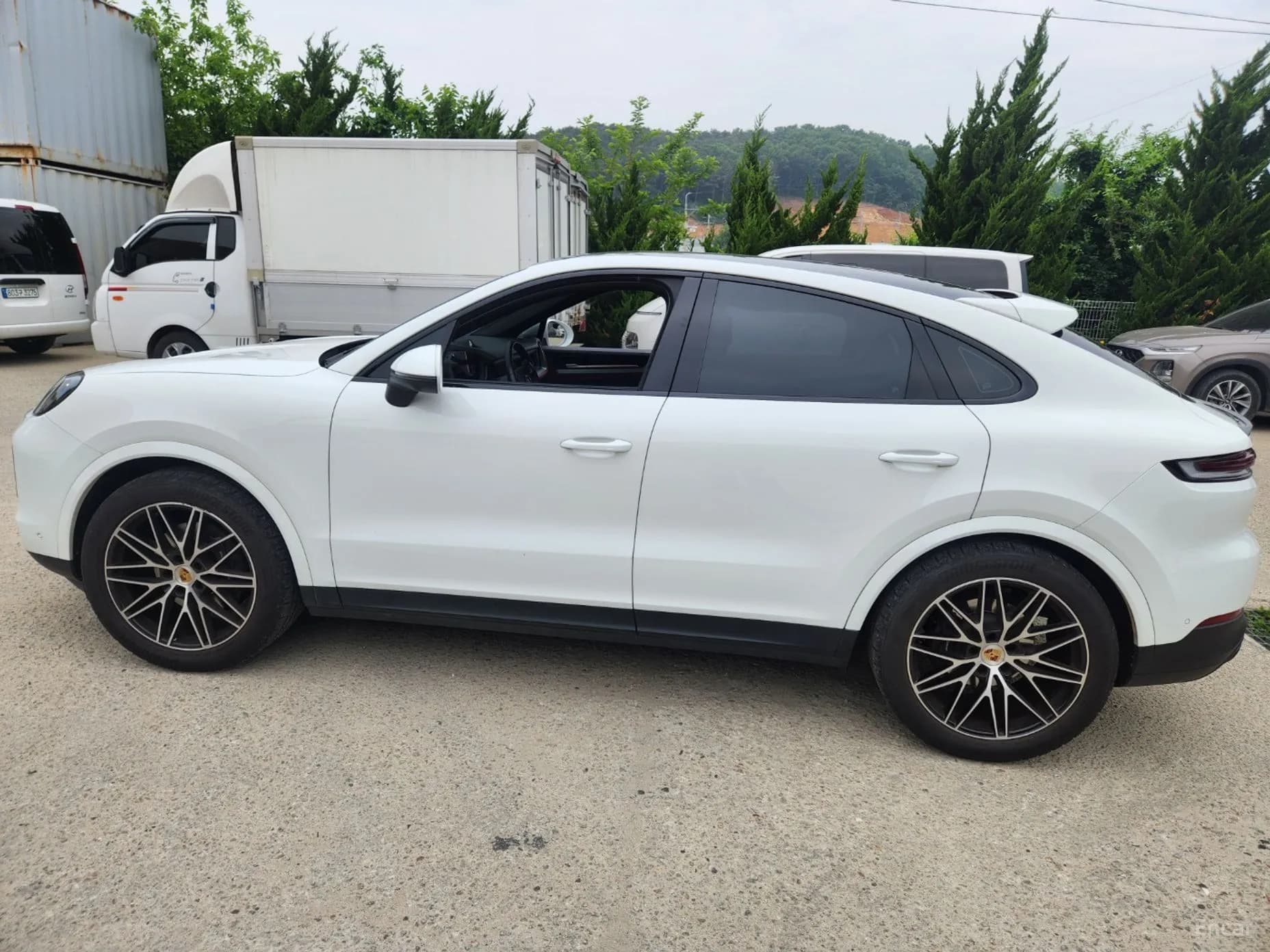 Cayenne (PO536)