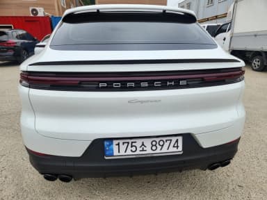 Cayenne (PO536)