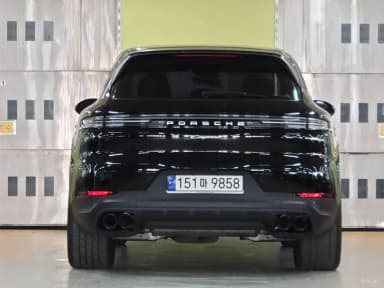 Cayenne (PO536)