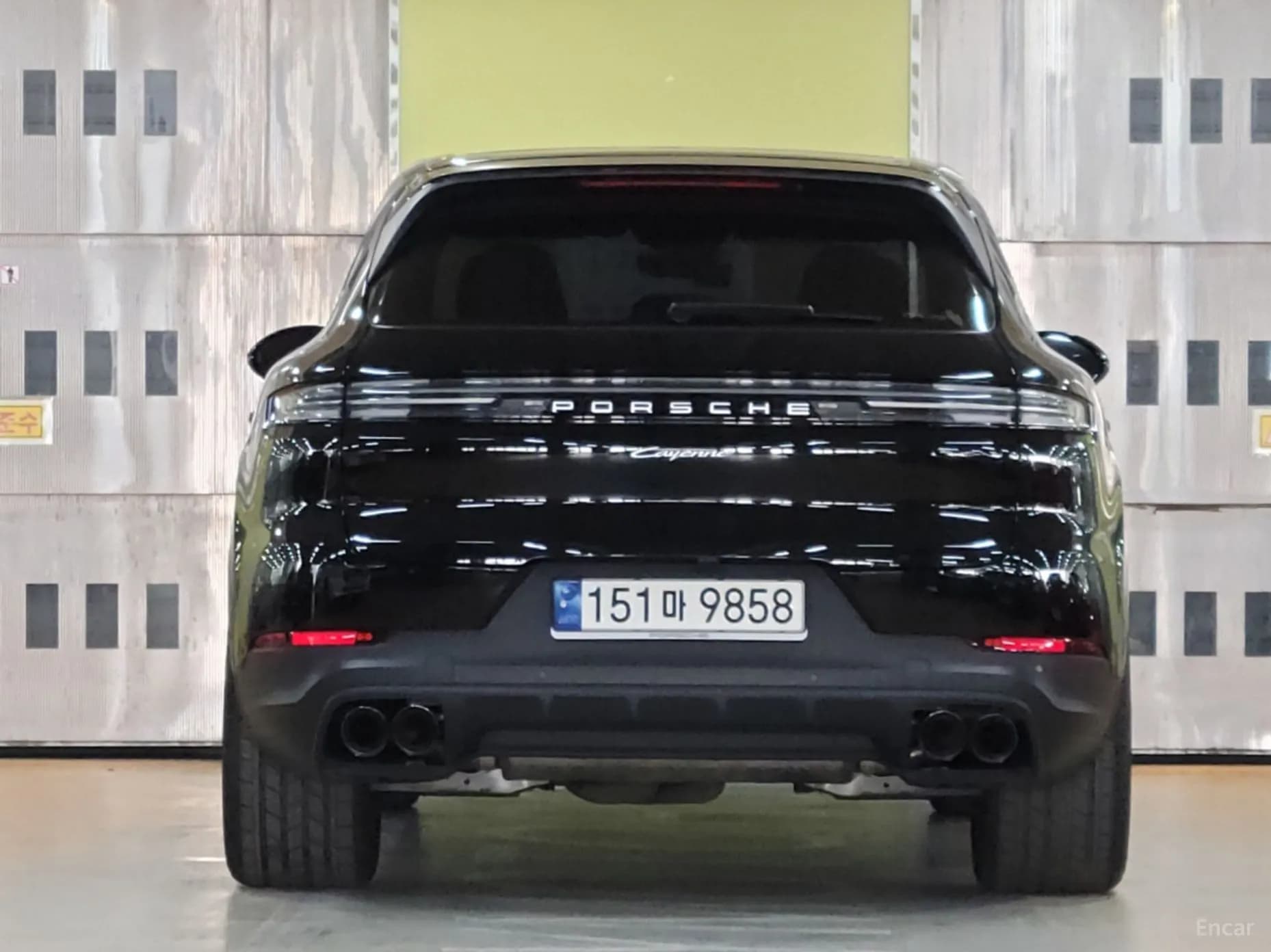 Cayenne (PO536)