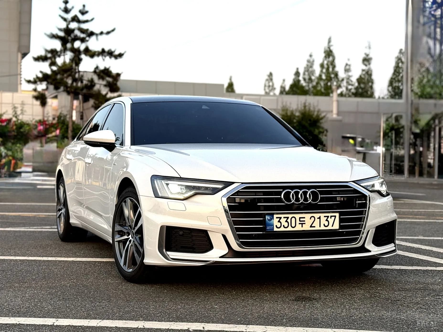 A6 (C8)