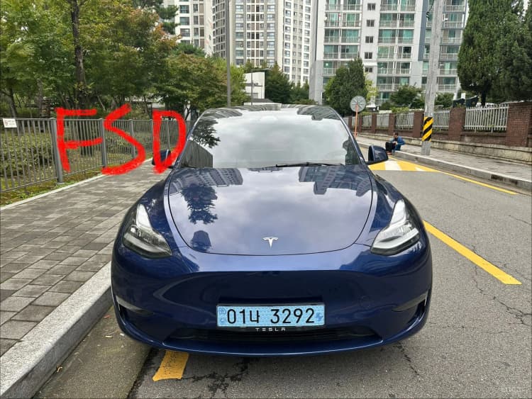 Model Y