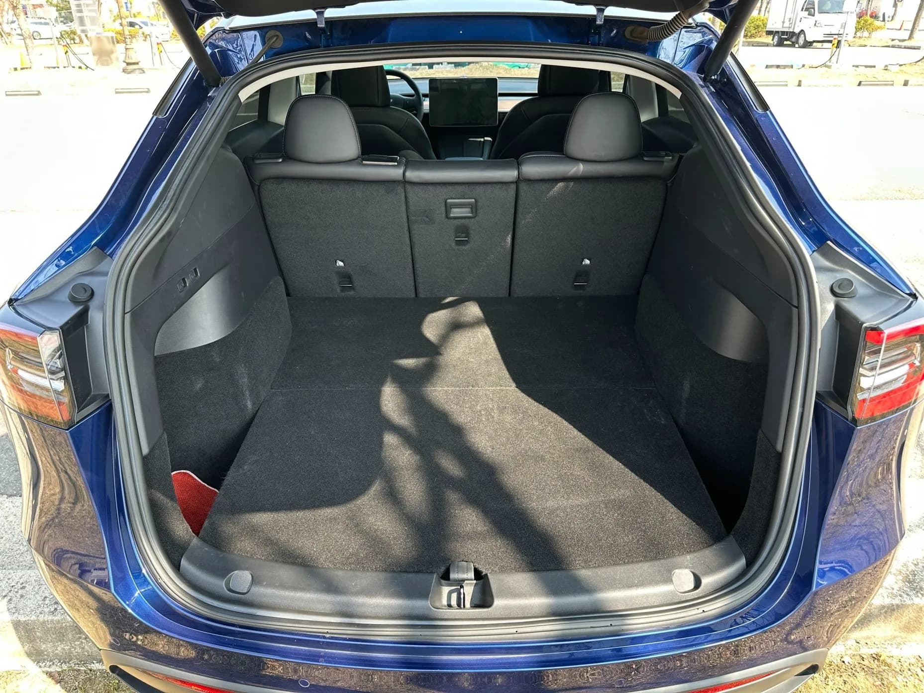 Model Y