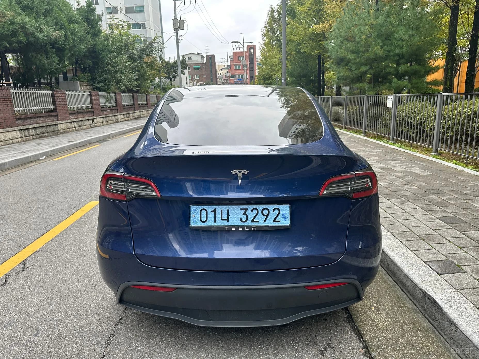 Model Y