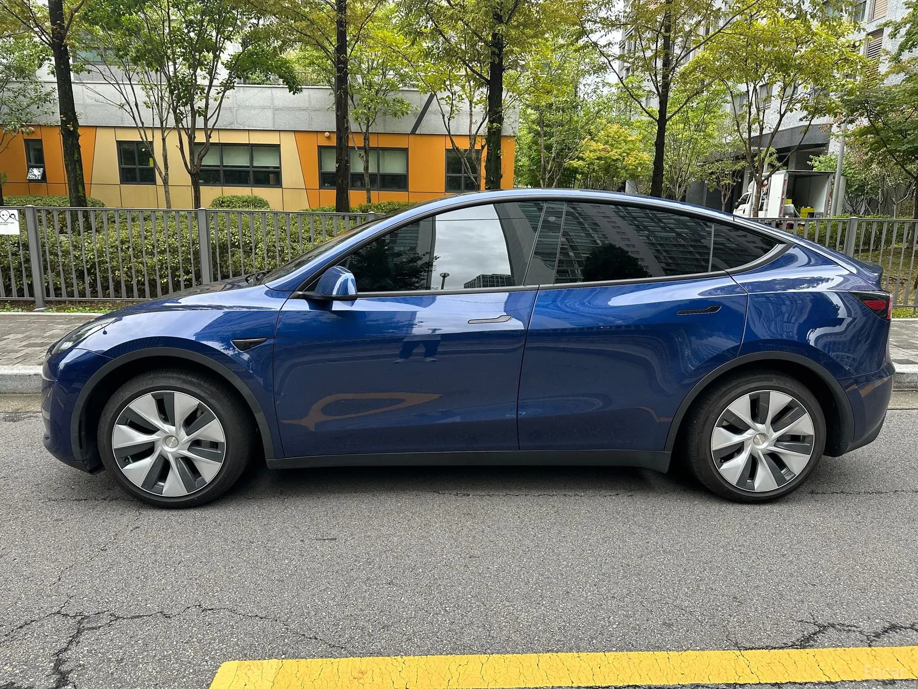 Model Y