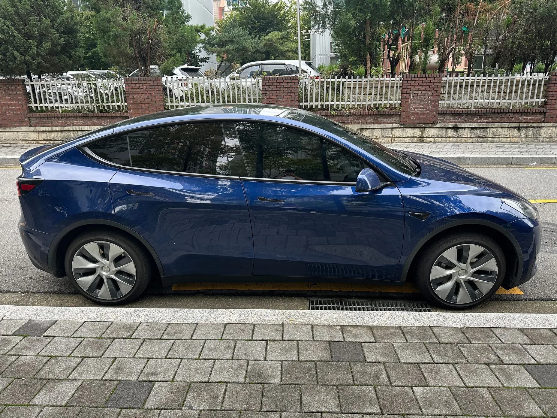 Model Y