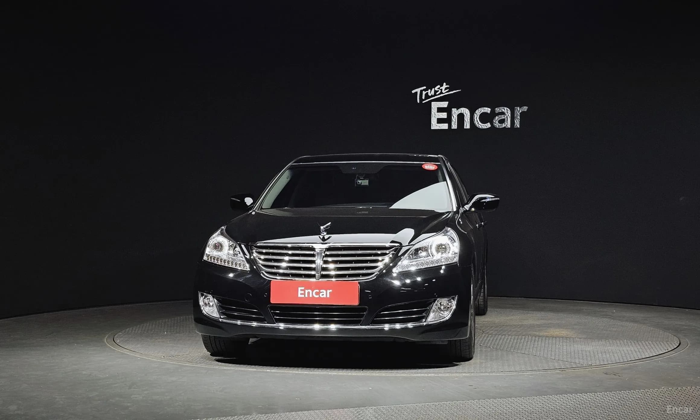 Equus (new)