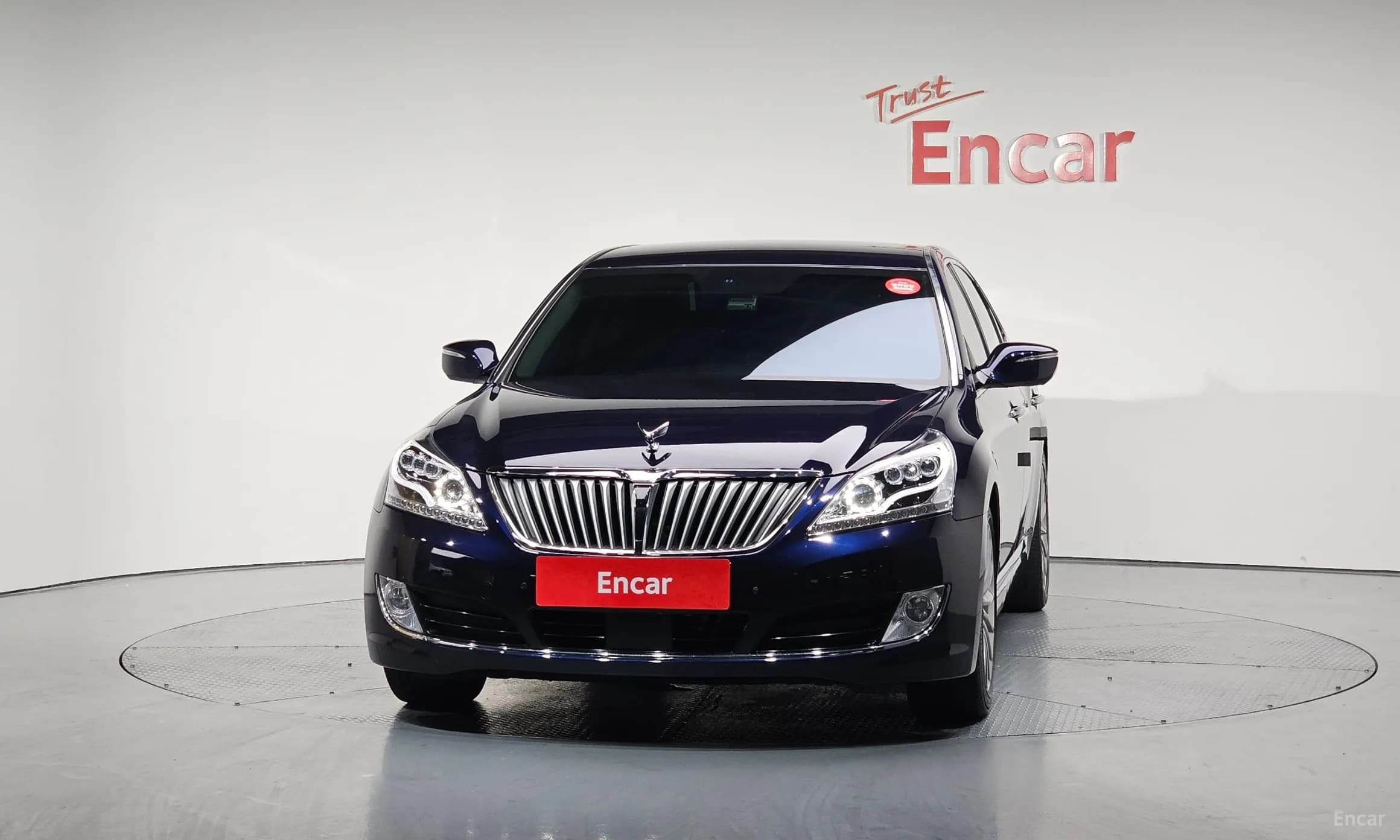 Equus (new)