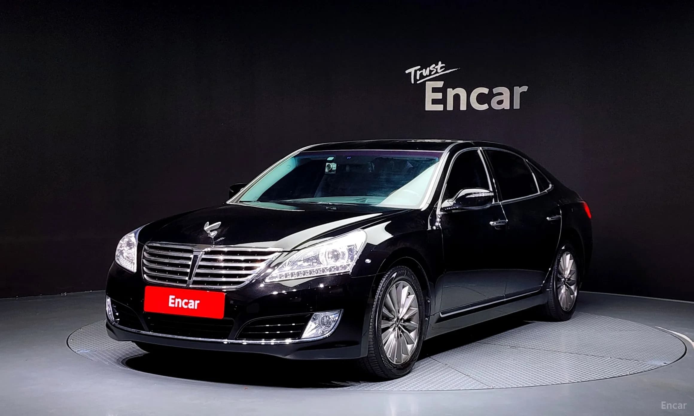 Equus (new)