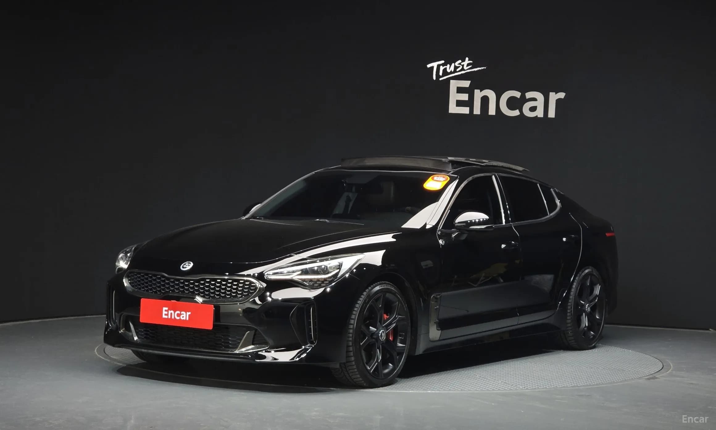 Stinger