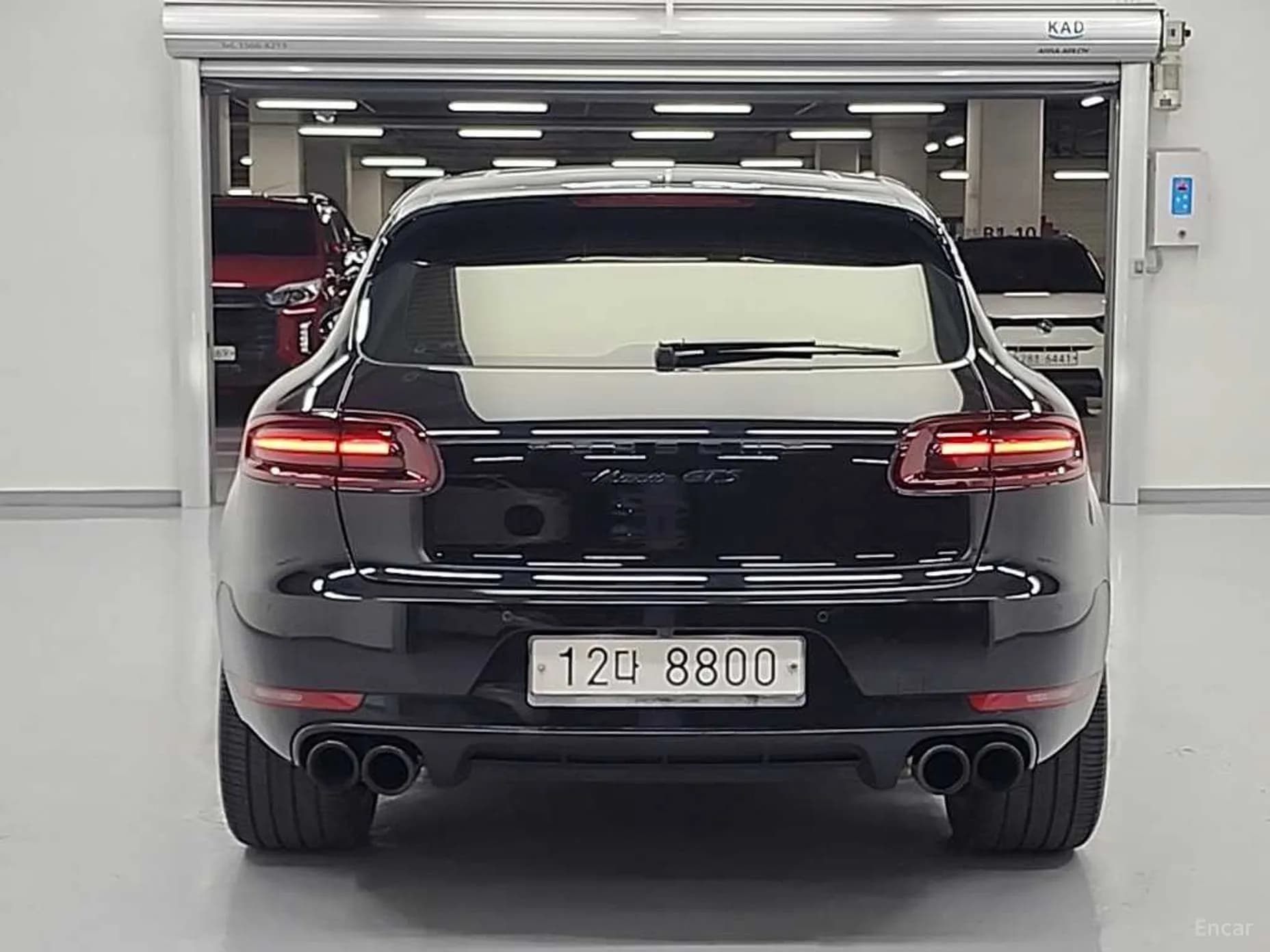 Macan