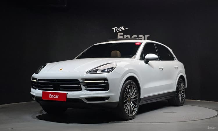 Cayenne (PO536)