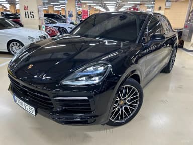 Cayenne (PO536)