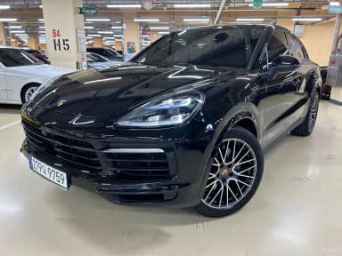 Cayenne (PO536)