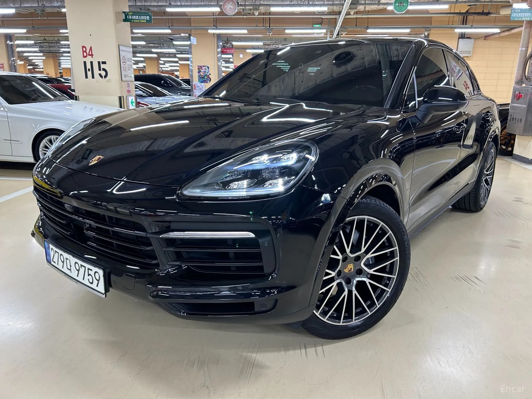 Cayenne (PO536)