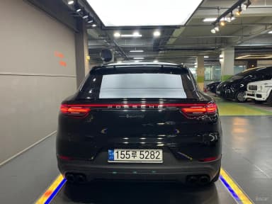 Cayenne (PO536)
