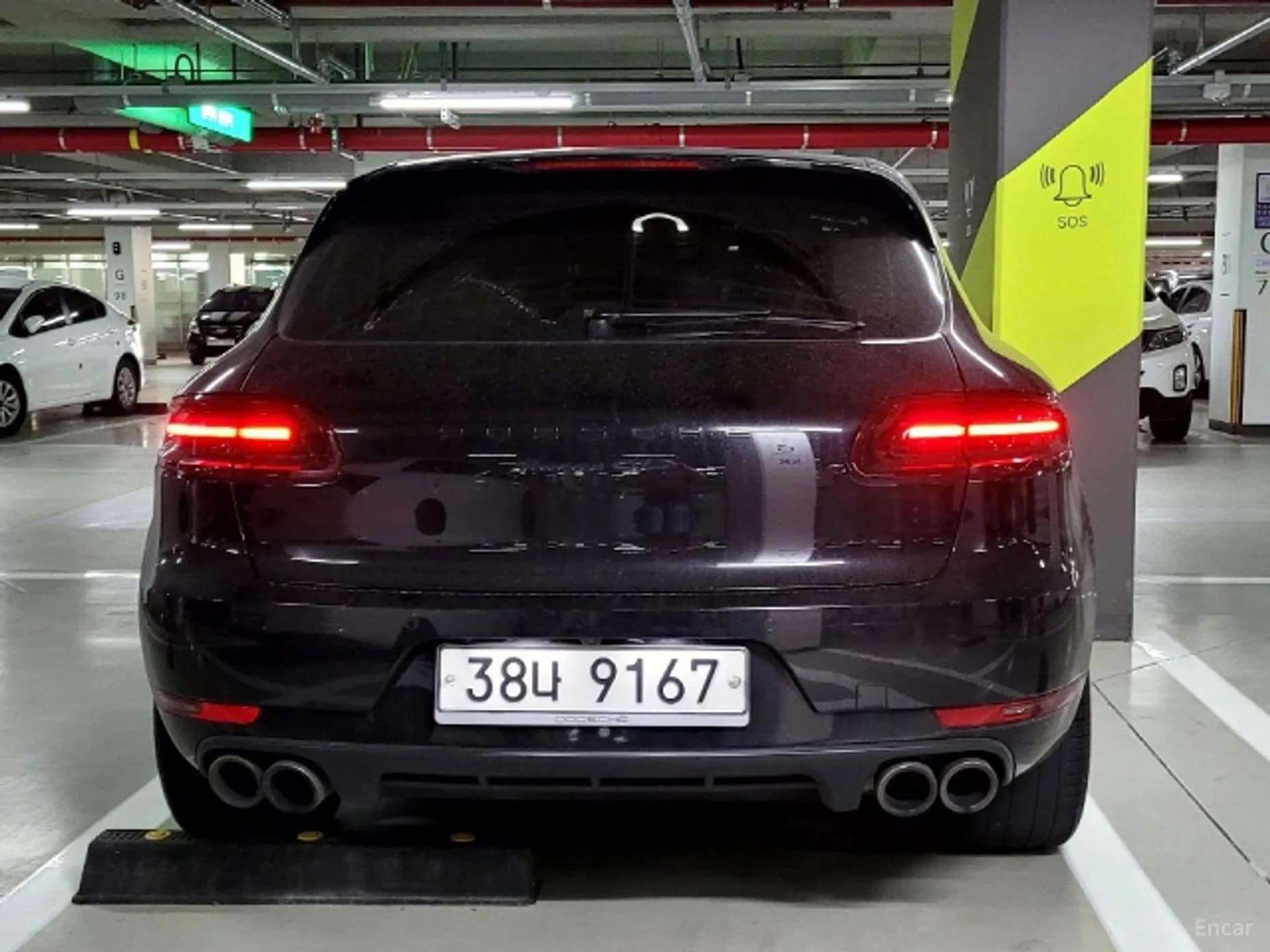 Macan