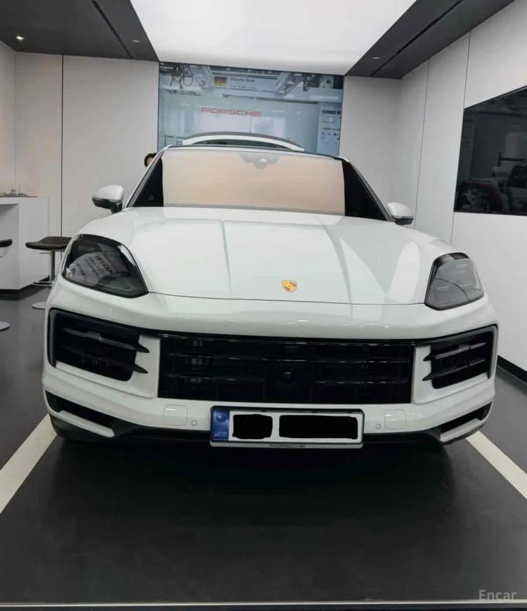 Cayenne (PO536)