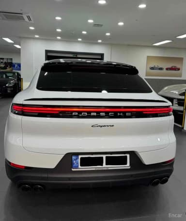 Cayenne (PO536)