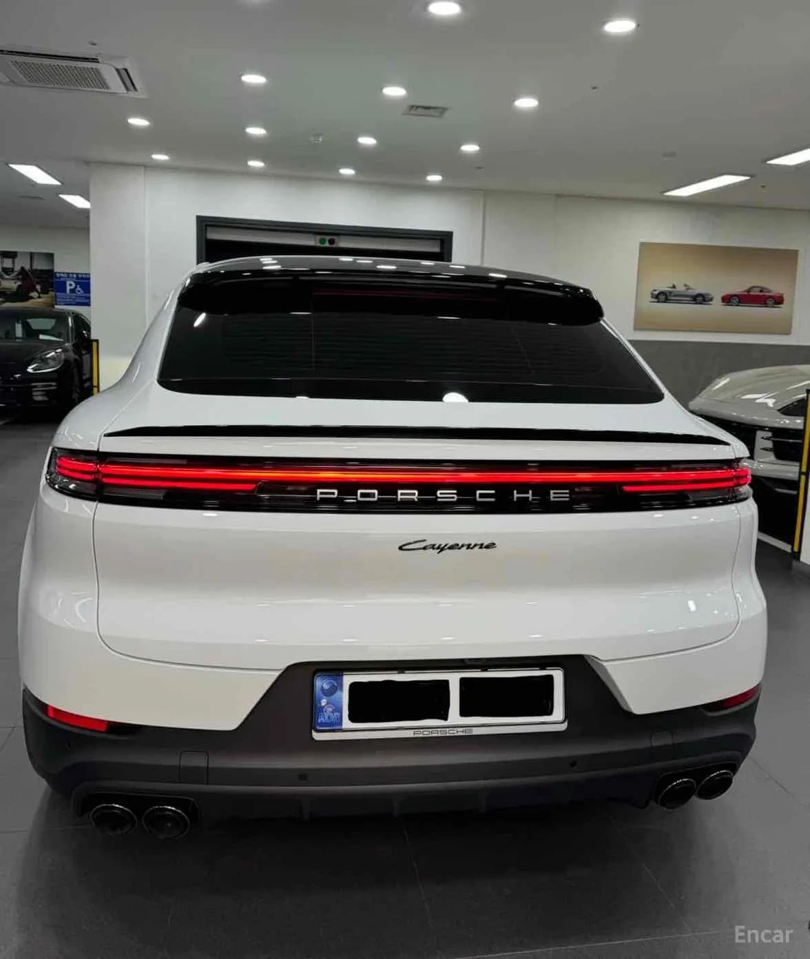 Cayenne (PO536)