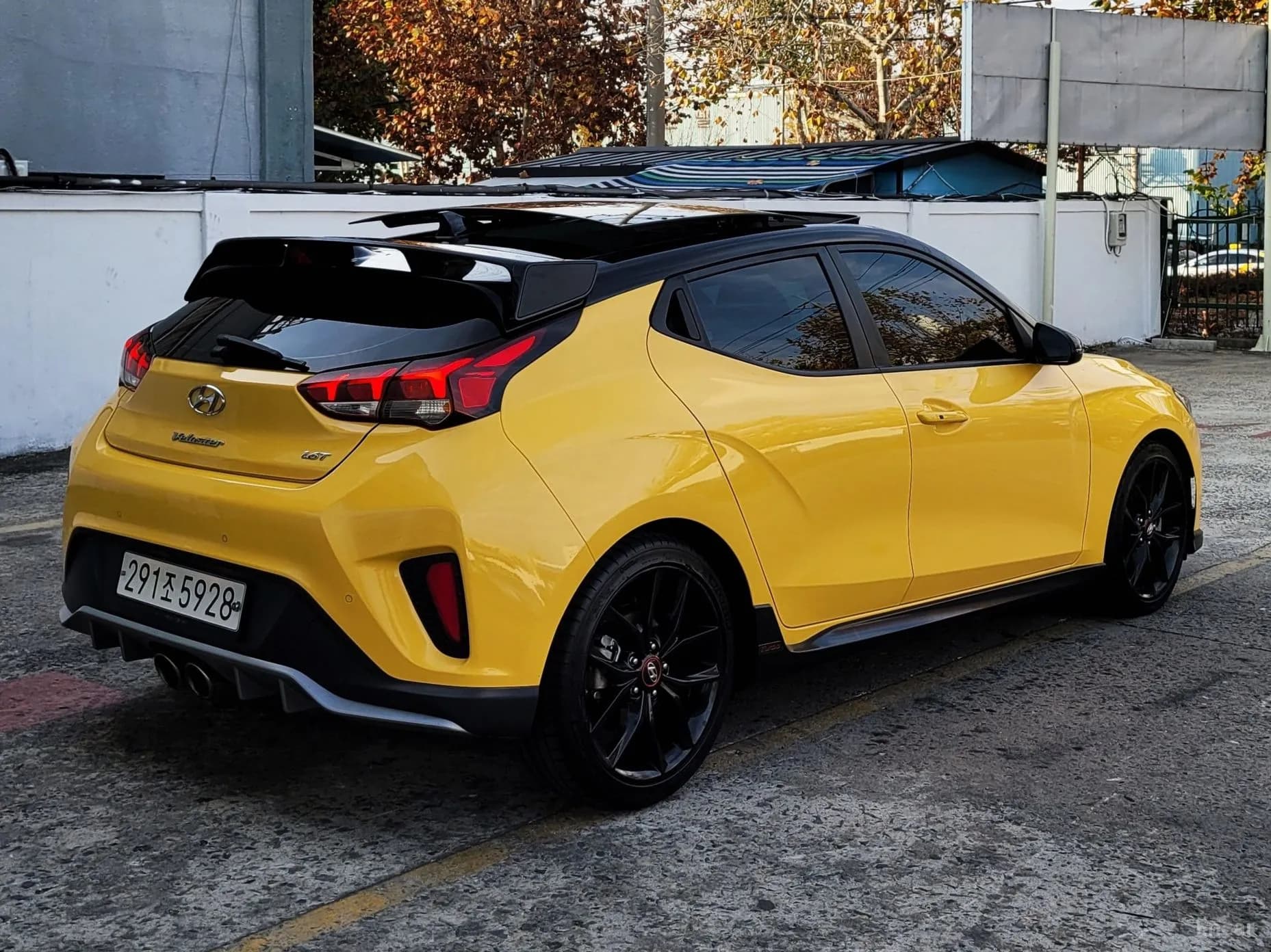 Veloster (JS)