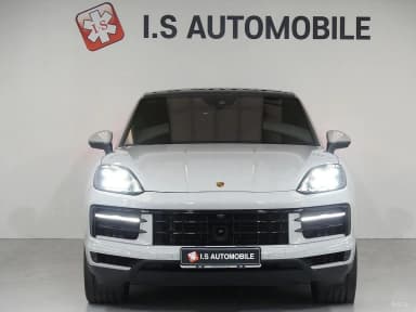 Cayenne (PO536)