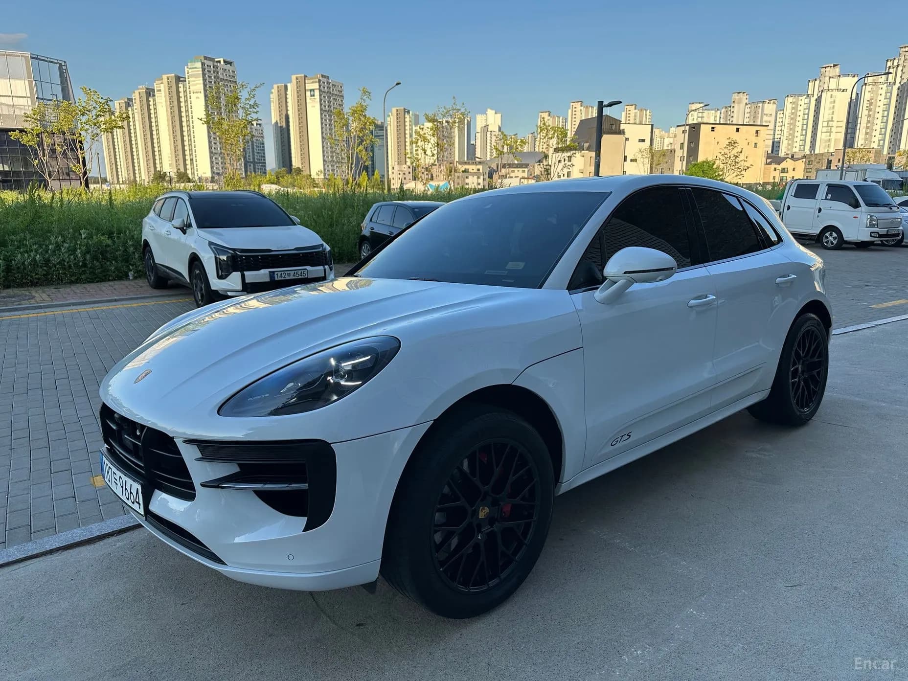 Macan