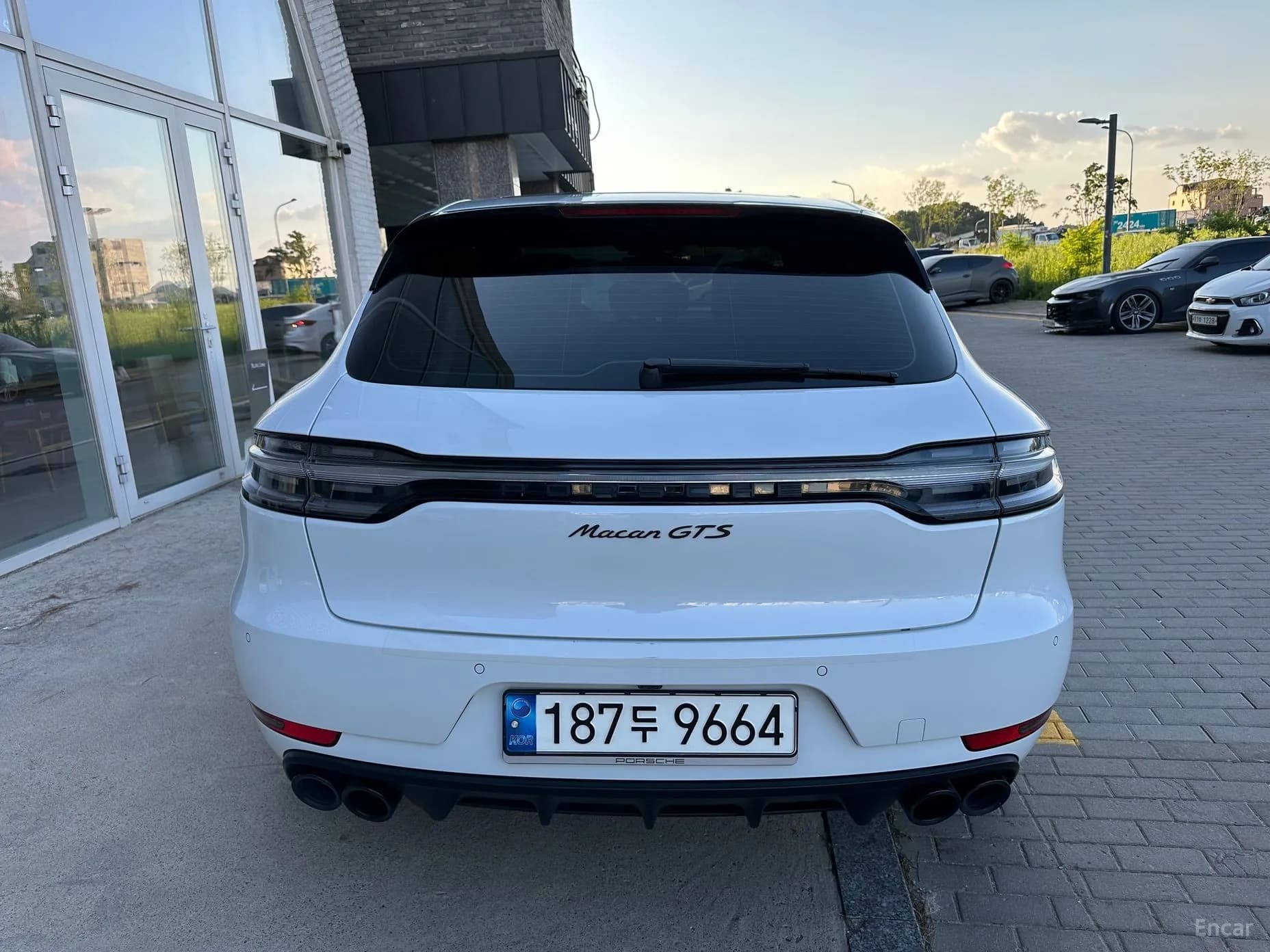 Macan
