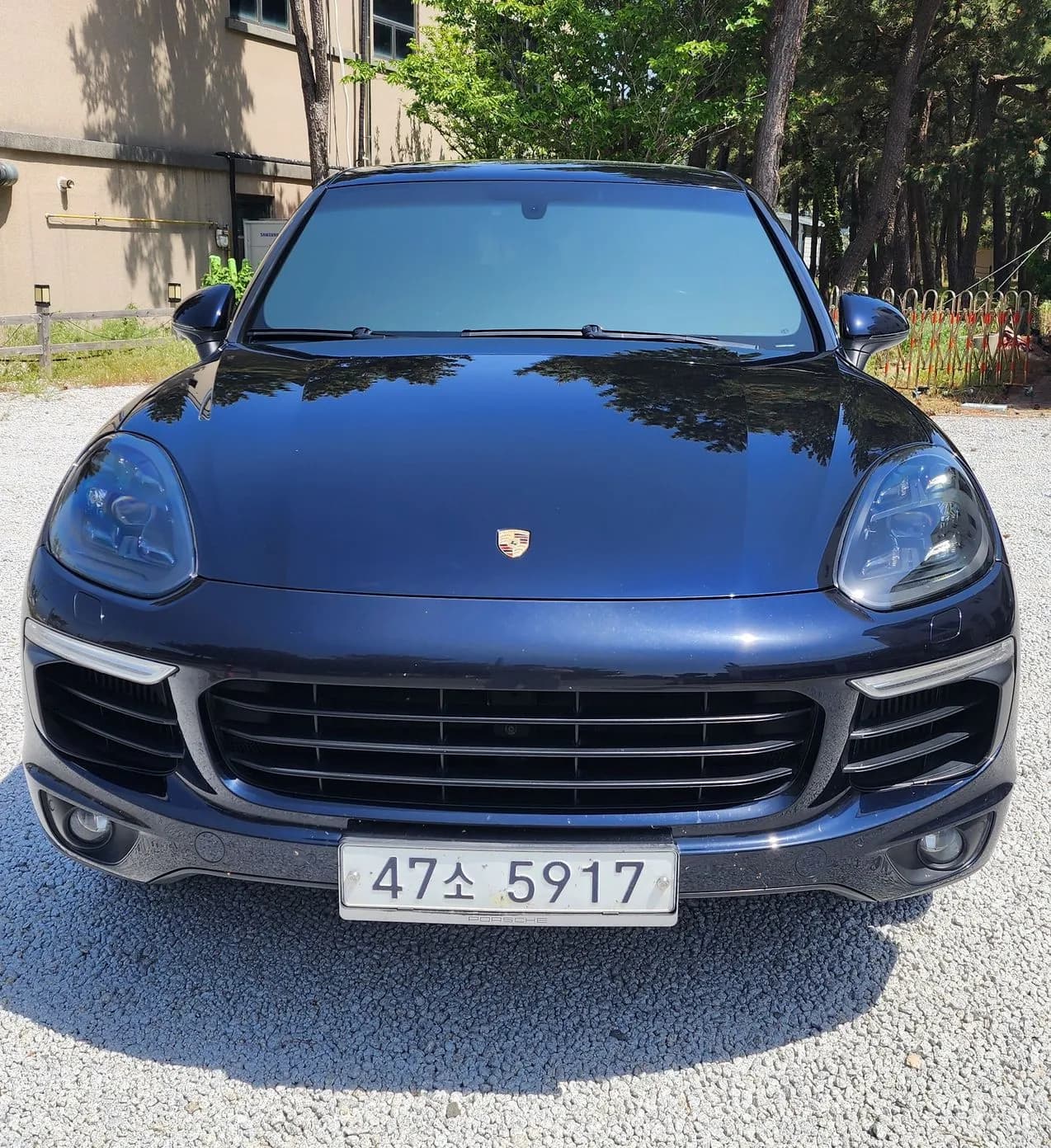 New Cayenne