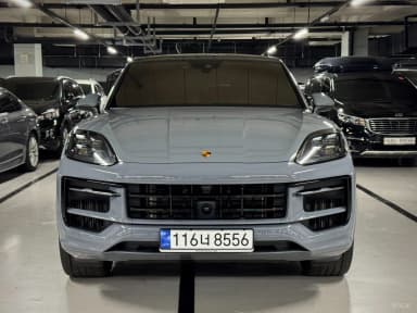 Cayenne (PO536)
