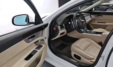 XF (x260)