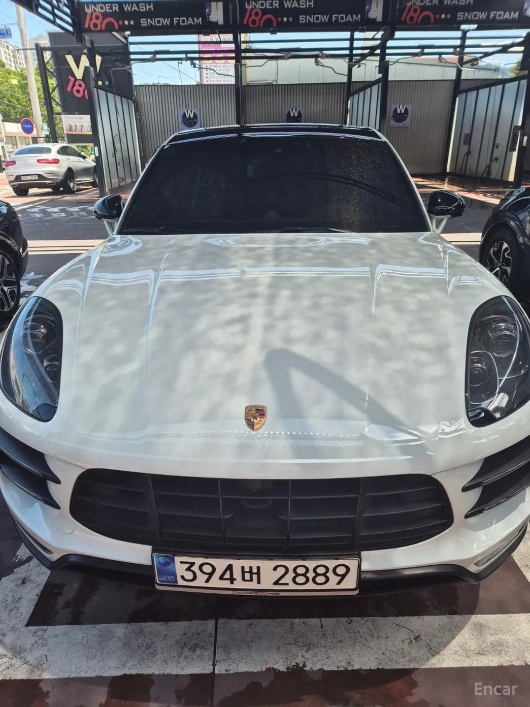 Macan