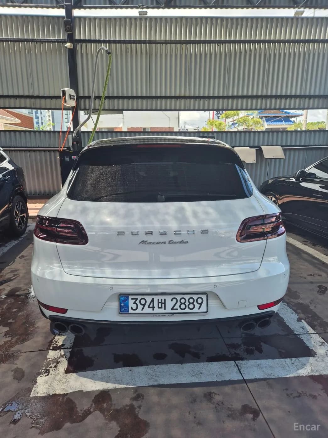 Macan