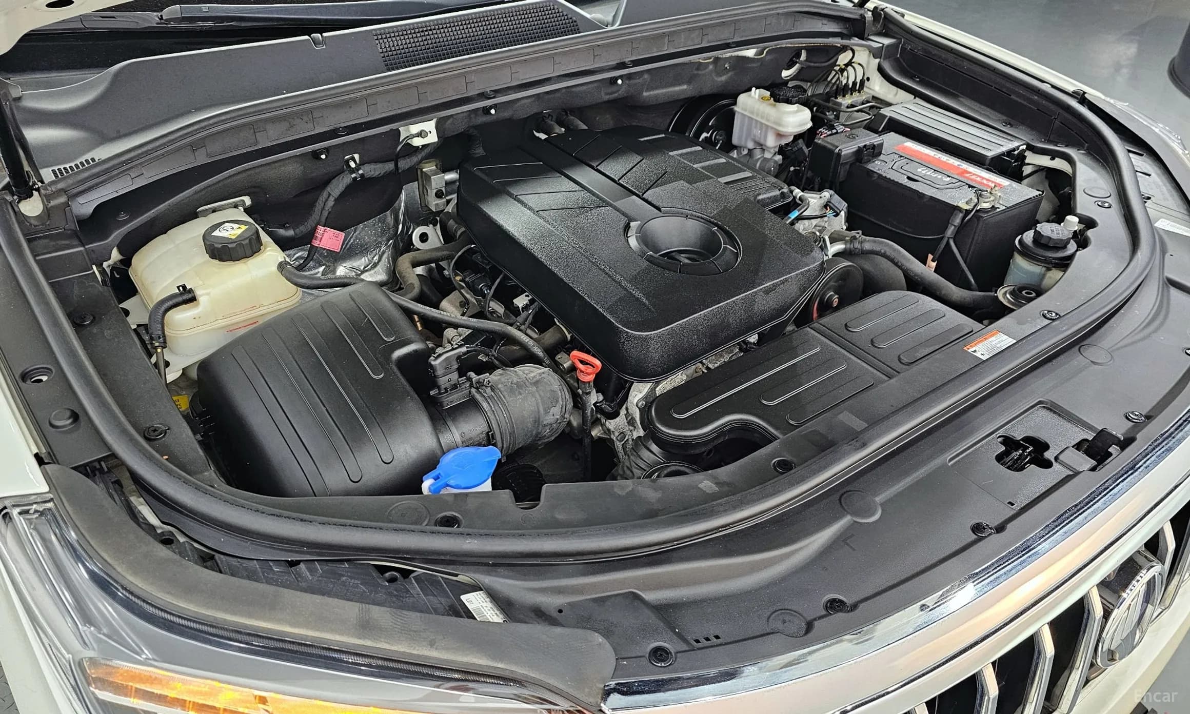Rexton Sports Khan