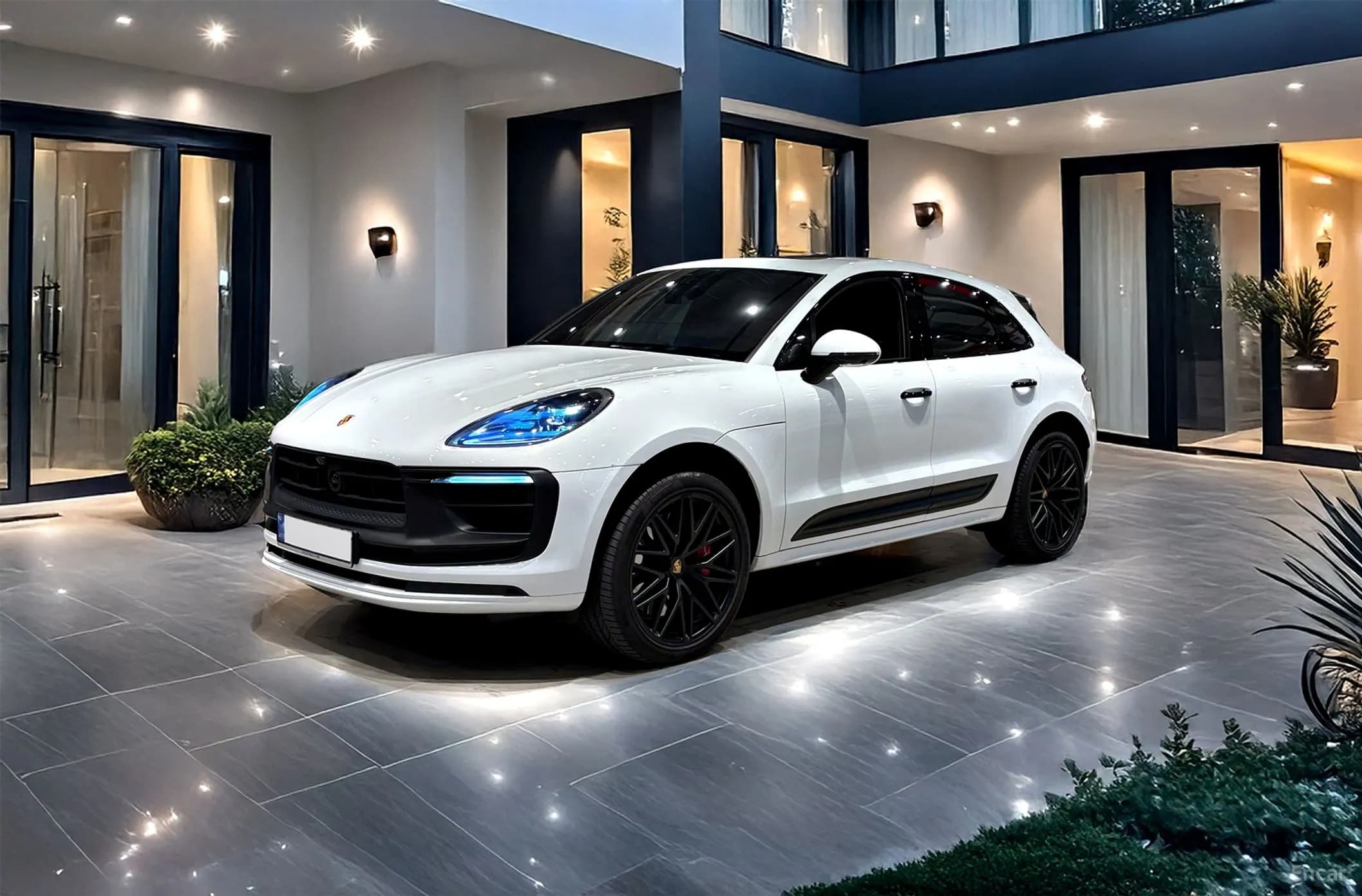 Macan