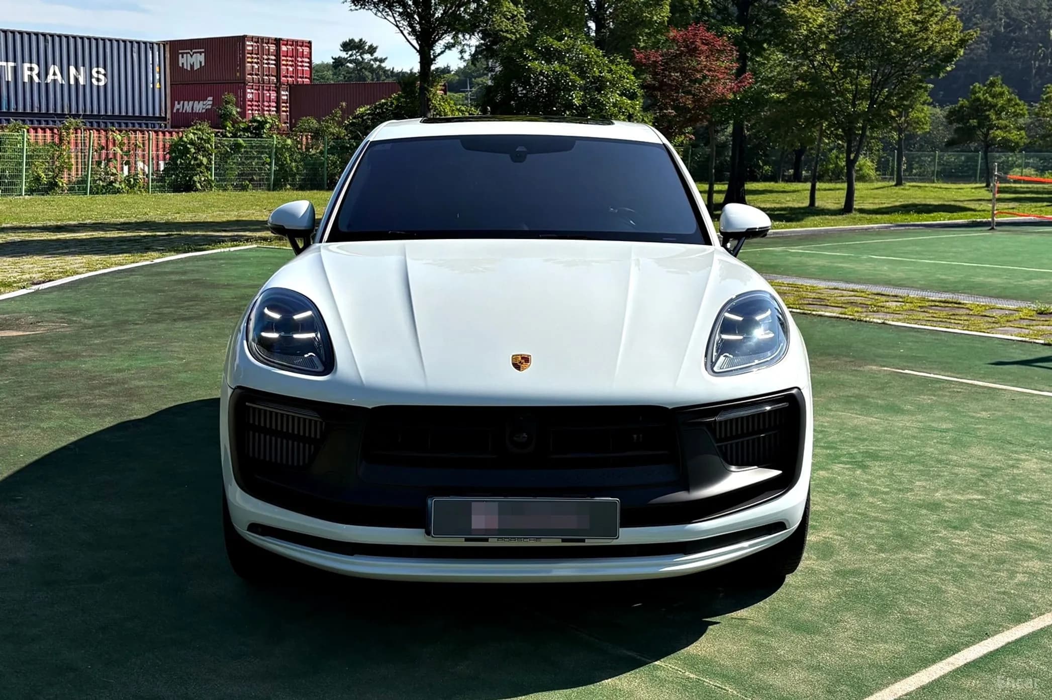 Macan
