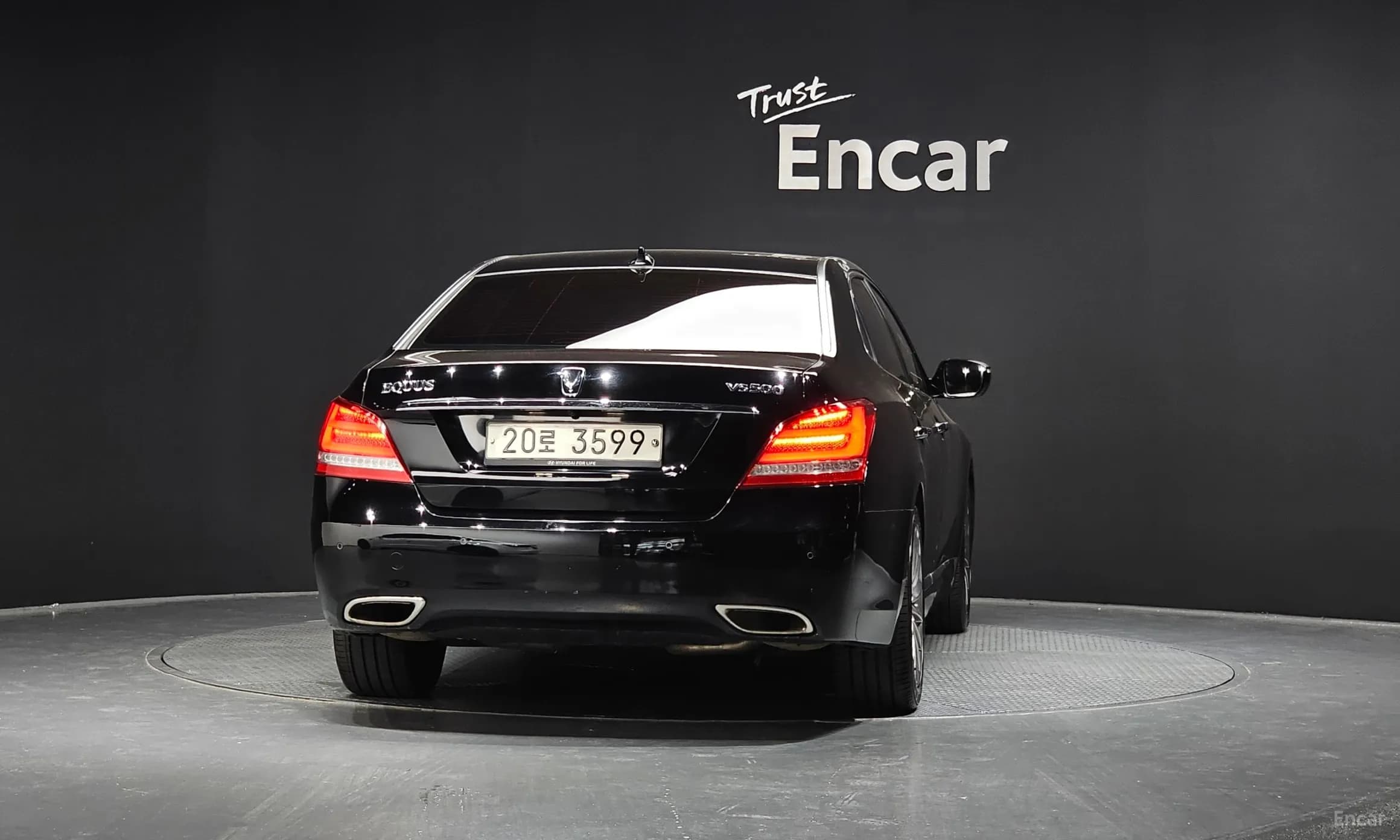 Equus (new)
