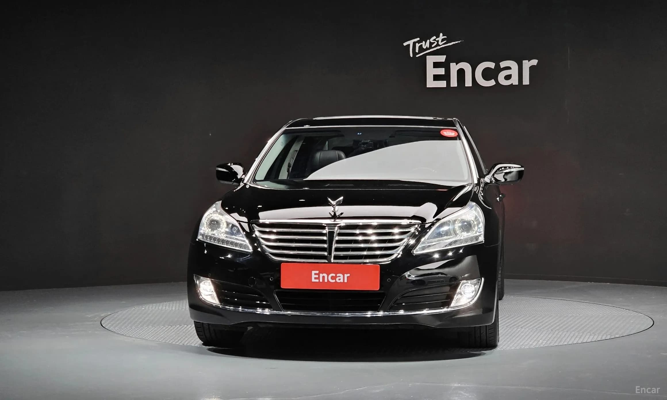 Equus (new)