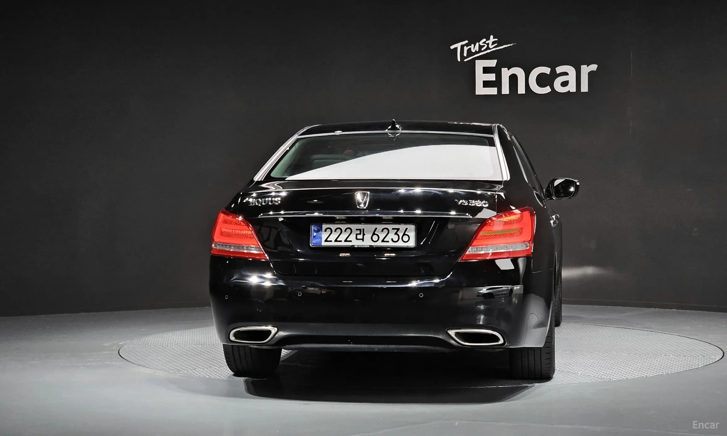 Equus (new)