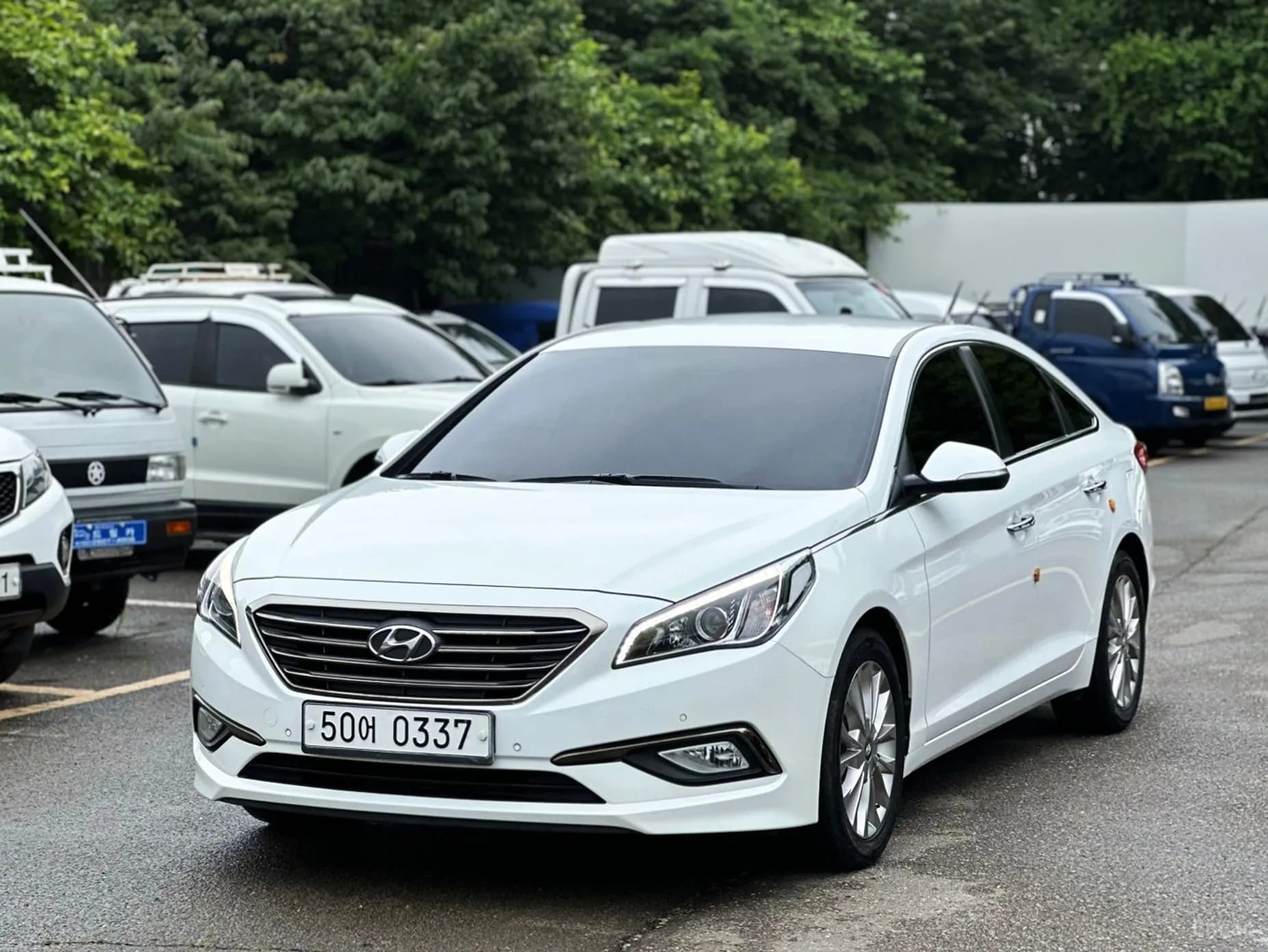 LF Sonata