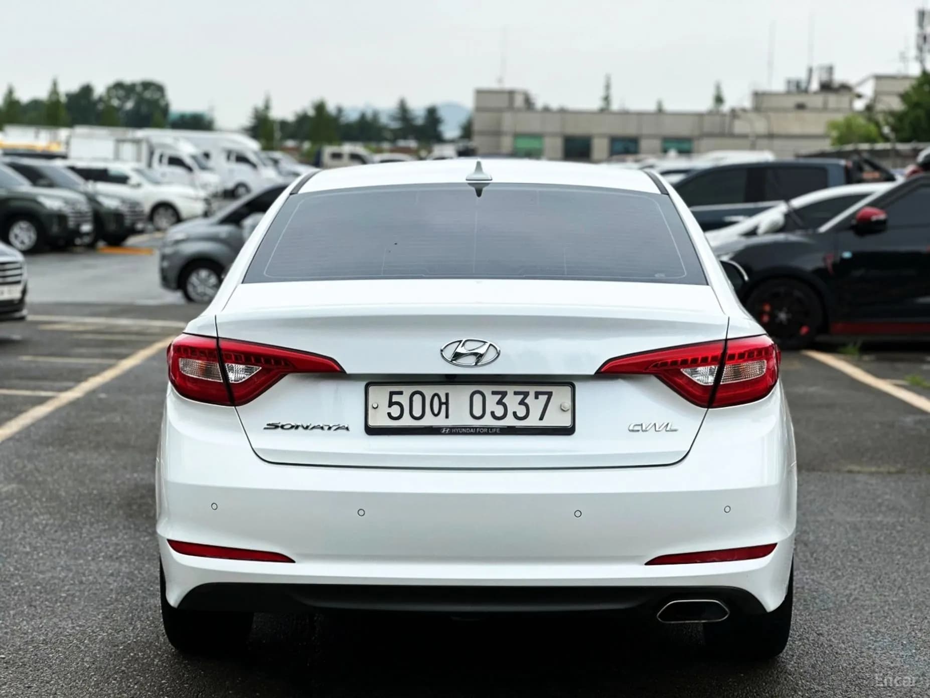 LF Sonata