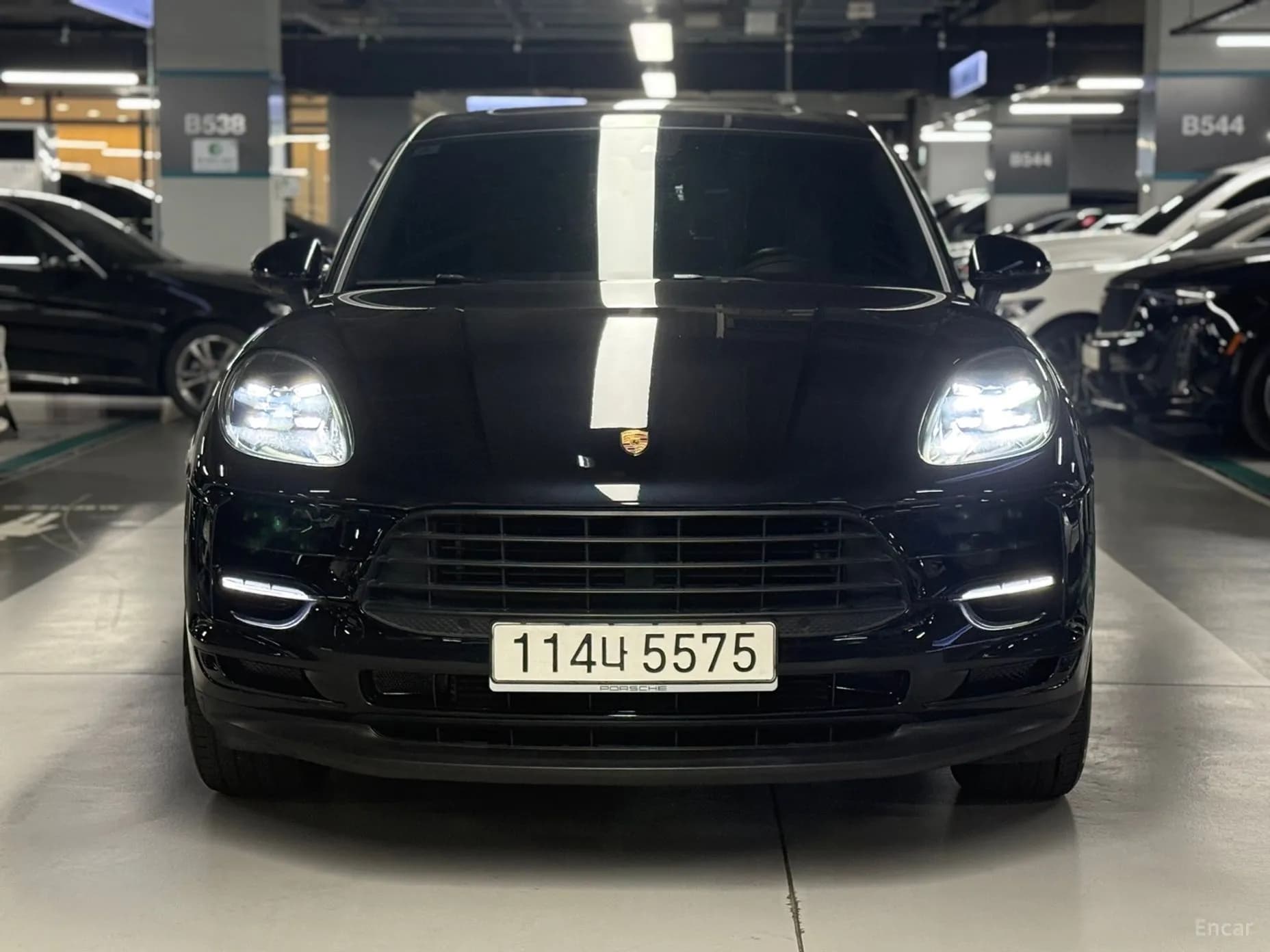 Macan