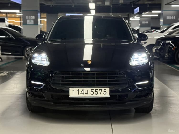 Macan